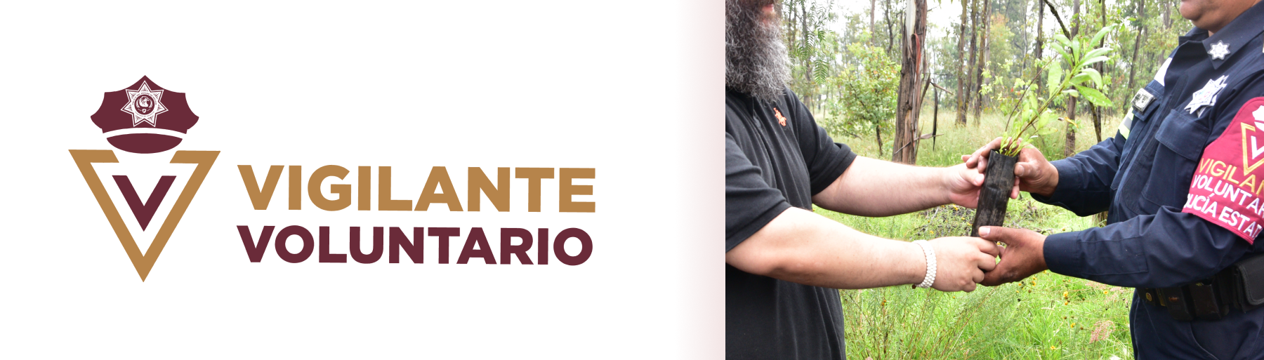 banner vigilante voluntario