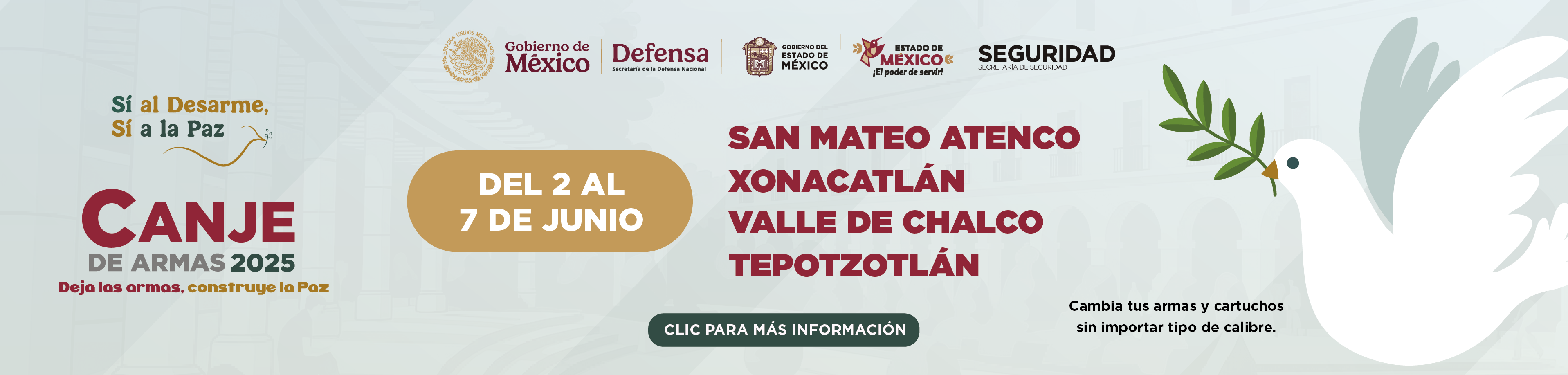Canje Armas Estado de México