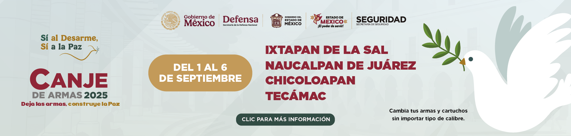 Canje de armas Edoméx