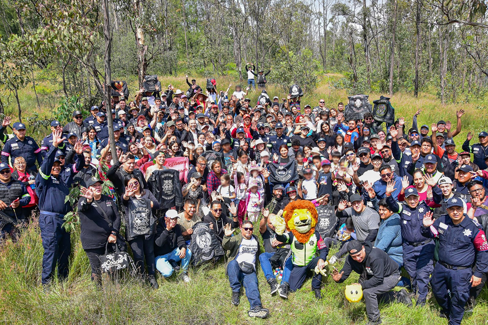 Imagen 7